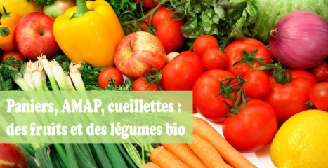 on_-_fruits_legumes_bio_-_amap_-_Dossier_bis_0
